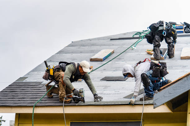 Professional Storm Damage Roof Repair technician working in Lone Grove, OK